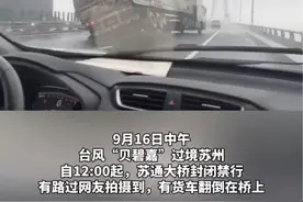 #苏通大桥 有#货车被吹翻 ？交通部门：司机平安，目前大桥已开通。#交通安全 #台风实时消息视频封面