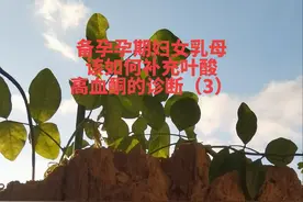 #医学科普 血同型半胱氨酸检测作为一个健康指标出现在体检项目中视频封面