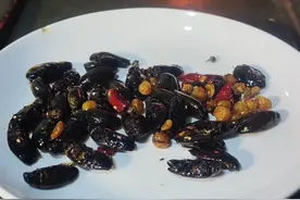 末日废土美食之龙虱 #龙虱 #昆虫 #虫子 #废土 #高蛋白