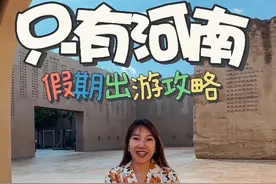 只有河南年卡用户新总结的攻略来咯