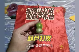 如何让打皮的葫芦不抽，谁有好的办法和建议？葫芦打皮，一镜到底