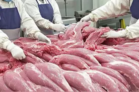 用A级猪肉制作优质猪排的神奇过程😋🔥#炸猪排