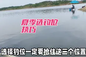 自从学会了这样选钓位，夏季也能鲫鱼连杆，钓鱼硬核知识