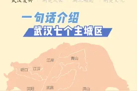 一句话介绍武汉七个主城区！ #武汉 #汉口 #武昌#汉阳