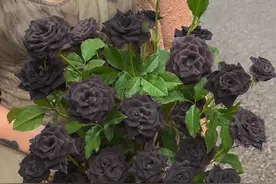 你让爱一点一滴汇成河.#你让爱一点一滴汇成河视频封面