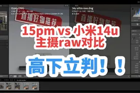 iPhone 15 Pro Max 和 小米14Ultra 主摄raw对比