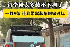带狗回家过年！好消息：坐的房车！坏消息：超载了🤣 #春节留守宠物怎么过年 #万物可爱计划 #我家宝贝过新年视频封面