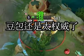 豆包在这方面还是太权威了#王者 #王者荣耀