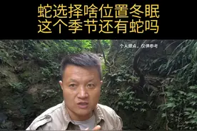 这个季节还有蛇吗？蛇正常是农历的九月份，十月份冬眠视频封面
