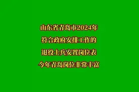 山东省青岛市2024年，选择由政府安排工作的退役士兵安置岗位表视频封面