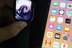 pedro小浣熊教程来咯来咯#pedro #applewatch #pedro小浣熊