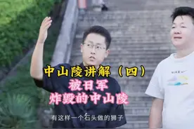 南京中山陵有没有被日军破坏 392层台阶有何奥秘 #中山陵视频封面