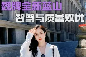 颠覆想象！魏牌全新蓝山智驾与质量双优 车圈新顶流 比豪宅更懂生活！#魏牌全新蓝山#行不行路上见