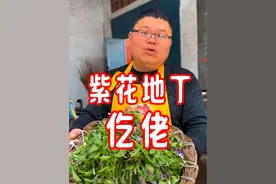 #农村美食#农村生活#抖音美食推荐官 #紫花地丁 春天万物生长，田间地头都是宝！今天挖点紫花地丁，给妈妈做顿河南美食蒸菜☝️紫花地丁仡佬尝尝！🙏