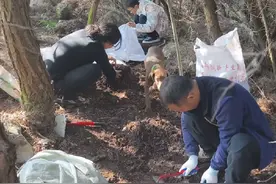 松针腐殖土，一人养花全家忙，我养花种菜从来不买土#腐殖土