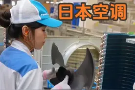 日本顶尖空调制造 #海外生活 #制造业 #科技 #科普视频封面