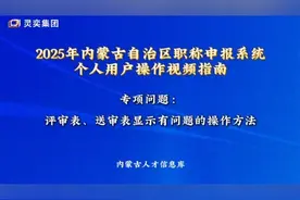 2025年内蒙古自治区职称申报系统个人用户操作视频指南 专项问题
