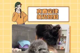 谁能拒绝可爱的小猫咪和小狗呀#第一批回村的宠物 #万物可爱计划 #我家宝贝过新年 #即梦AI