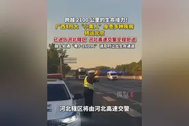 广西4个月大“小黄人”身患多种疾病千里转运北京，父亲欲献肝救儿，4月28日早上8：30出发，4月29日早晨6点20分进入河北，河北高速交警接力护送。#河北高速交警视频封面