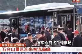 国庆五台山：车流如潮，游客爆棚 #五台山 #五台山风景区视频封面