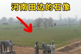 河南田边的石像。#云游中国计划视频封面