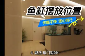 #创作灵感 #鱼缸位置 住宅鱼缸位置你摆放对了吗？