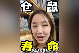 关于仓鼠能活多久 #养鼠日常分享 #仓鼠寿命#金丝熊寿命