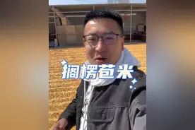 了解一下东北#记录真实生活 #我的乡村生活