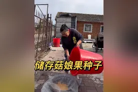 广西媳妇倒菇娘果籽，一宁买的蚕蛹炒着吃嘎嘎香#记录真实生活  #新农人计划2024 #农村生活 #东北