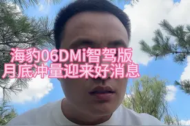 智驾版的海豹06DMi迎来价格下调的好消息 #每天推荐好车