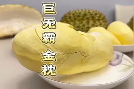 10斤重巨无霸榴莲，出肉率还超50%，一眼就心动的报恩榴莲#榴莲视频封面