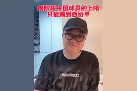 现阶段中国球员的上限只能踢到西协甲#董路说球 #武磊 #中国足球 #dou来足球季 #国足视频封面