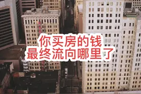 你买房的钱，最终流向哪里了？ #掘金计划2024视频封面