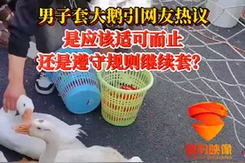 男子套大鹅引网友热议，是应该适可而止，还是遵守规则继续套？#套大鹅 #热议 #套圈 @抖音短视频