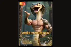 眼镜蛇会喷射毒液吗？万一被喷到该怎么办？ #眼镜蛇 #舟山眼镜蛇 #蛇类科普 #动物科普 #户外