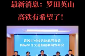 黄冈市举行对接共建武鄂黄黄国际综合交通枢纽新闻发布会#官宣：罗田英山🚄高铁有希望了！#民生关注视频封面