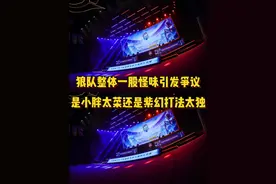 狼队一股怪味引发争议，究竟是小胖太菜还是紫幻打法太独？