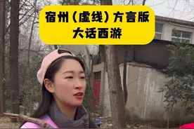 宿州（虚线）方言版的大话西游#一本正经飚方言 #我的乡村生活 #方言 #幽默段子视频封面