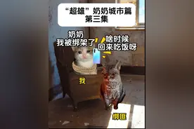 我被绑匪劫持会发生什么？#超雄奶奶#搞笑抽象#meme视频封面