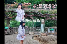 上海野生动物园旅游节门票半价啦！1.3以下儿童还免票哦