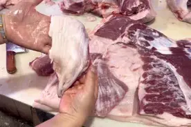 今天的视频告诉大家猪板筋是在猪🐷身上哪个部位😋