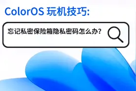 ColorOS 玩机技巧: 忘记私密保险箱隐私密码怎么办？  "隐私密码