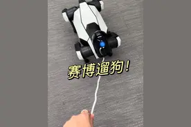 雷布斯的机器人梦！12999元的机器狗你会养么？小米刚刚发布了更"狗"的铁蛋2，一起来看看！#机器狗 #小米
