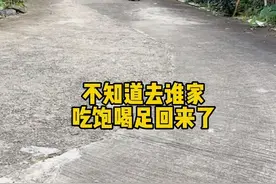 这是我小祖宗，自从自个会串门了，在这个村混的比我都熟，落地哪家吃那家，这不今天又不知道在谁家吃饱喝足回来了#一身反骨的人类幼崽 #回村后的人类幼崽 #人类幼崽迷惑行为大赏视频封面