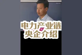 #国家电网 #南方电网 #国网 #发电厂 #电气工程及其自动化视频封面