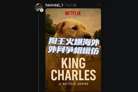 熊猫家狗王火爆海外 外国人争相模仿 #狗王 #油管 #tiktok精选视频封面