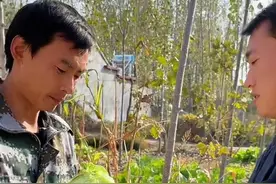 自以为聪明爱占小便宜的人，反而吃的都是大亏#看一遍笑一遍 #意想不到的结局 #贪小便宜吃大亏 #农村搞笑段子视频封面