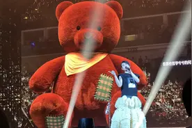 #刘若英演唱会，王宝强嘉宾出席🎤 #后来 #万人合唱视频封面