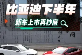 忍一忍提汉唐多香 #比亚迪 #买车那点事儿 #干货分享