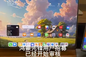 鸿蒙NEXT先锋用户招募已经开始审核了你们可以去看下#鸿蒙next